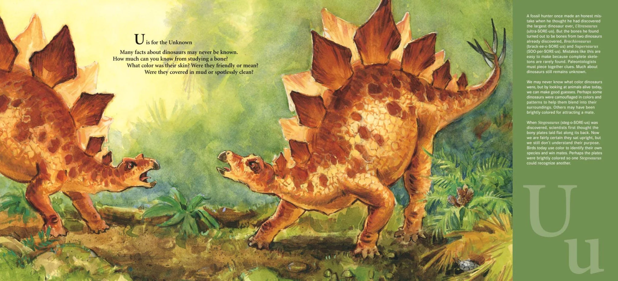 D is for Dinosaur: A Prehistoric Alphabet Book - Image 4